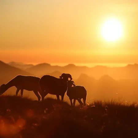 2 Chambres, 6 Pers., Cuisine, Parking Couvert, Centre Et Telecabine - Fr-1-401-106 Cauterets