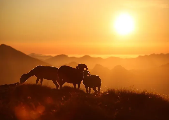 Cauterets, 3 Pièces, 6 Personnes - Fr-1-401-106 Cauterets
